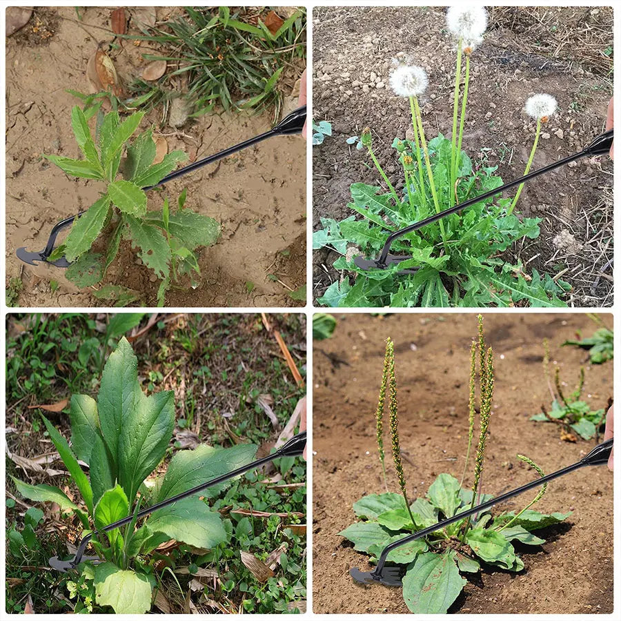 Azada de jardín, suministros agrícolas, herramientas para malezas, utensilios de jardinería, herbicida manual, profesor de malezas, agricultura, accesorios agrícolas.