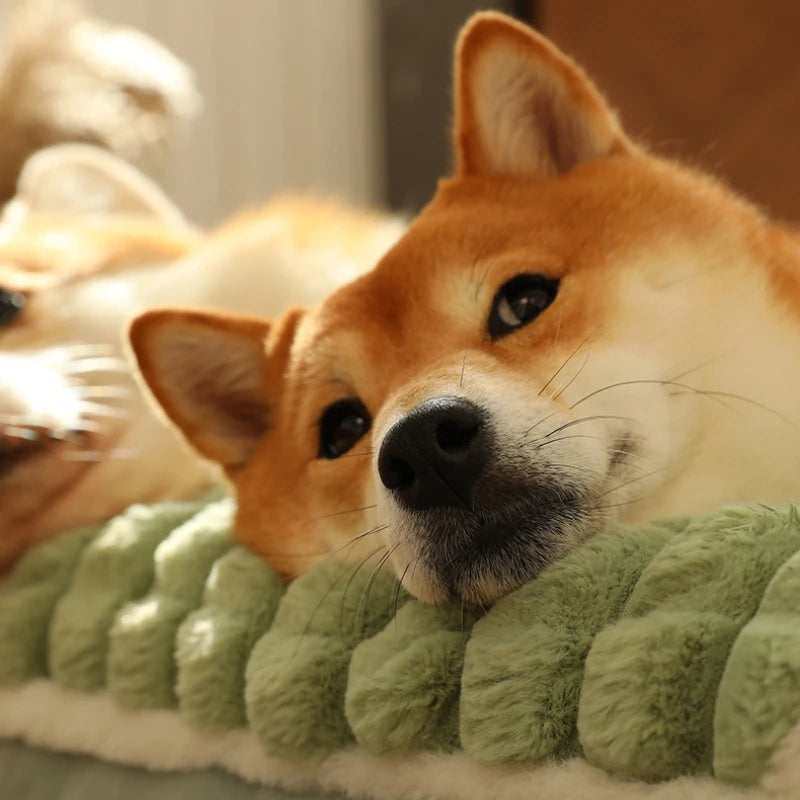 Camas relajantes para perros pequeños y grandes. Colchoneta de lujo para perros con almohada y funda extraíble. Colchoneta de espuma para mascotas. Camas suaves para dormir.
