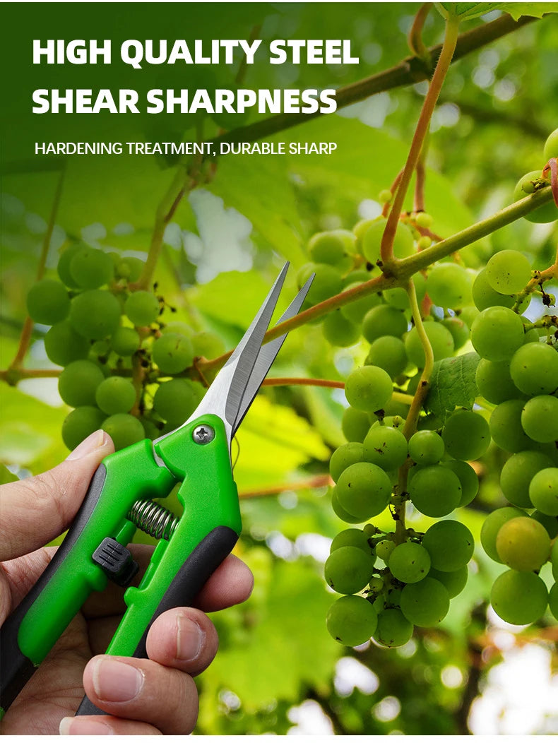 Tijeras de jardinería, tijeras para bonsái, tijeras de metal para jardinería, herramienta de poda, cortador manual, para recoger frutas y malas hierbas, para macetas, 1 unidad.
