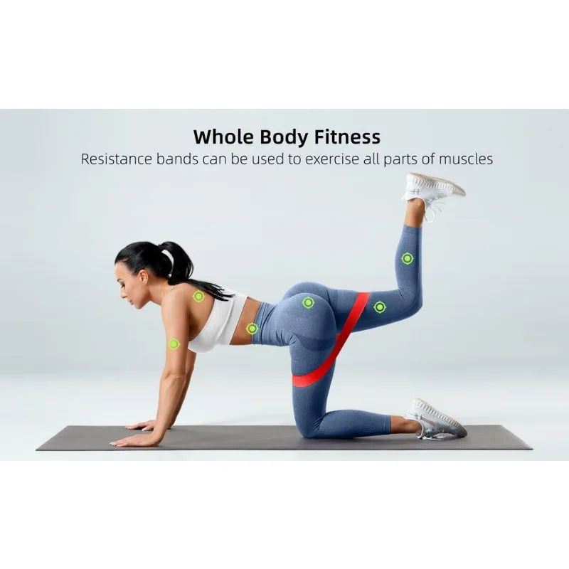 Set de Bandas de Resistencia Pro / Gimnasio en Casa