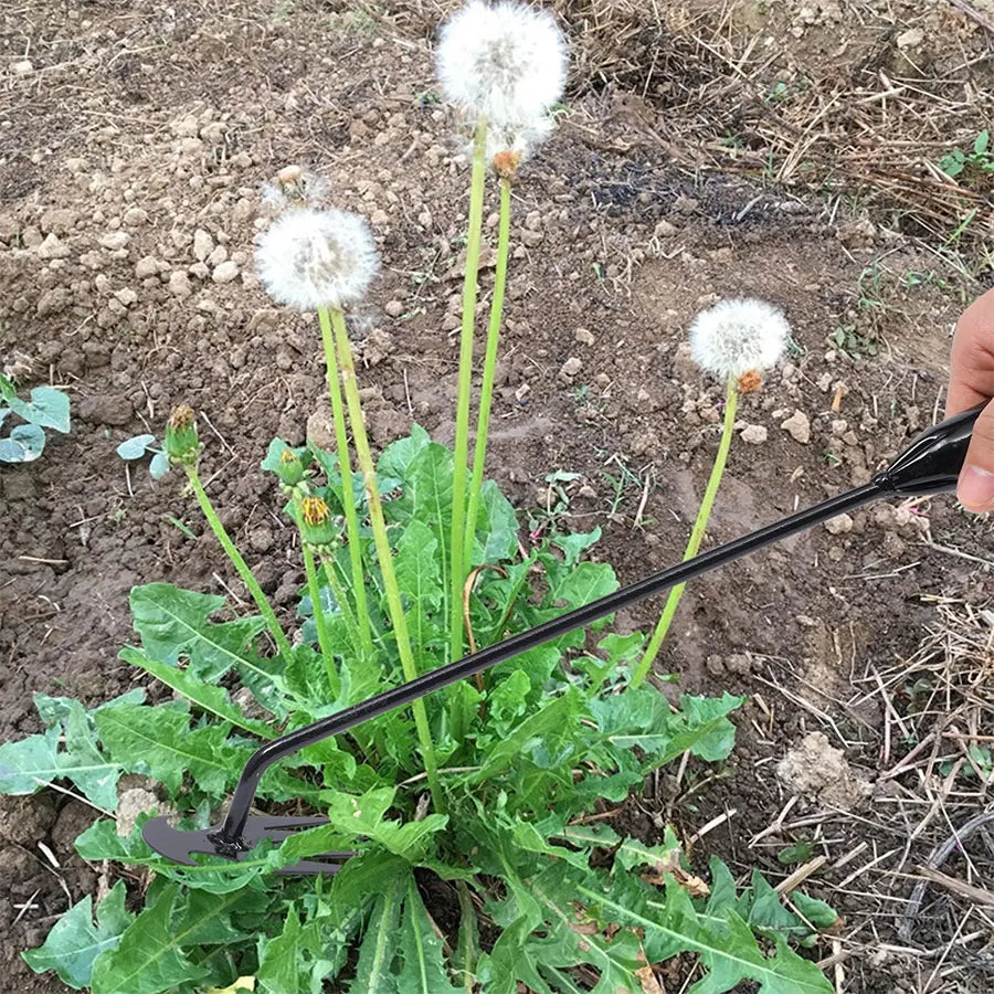 Azada de jardín, suministros agrícolas, herramientas para malezas, utensilios de jardinería, herbicida manual, profesor de malezas, agricultura, accesorios agrícolas.