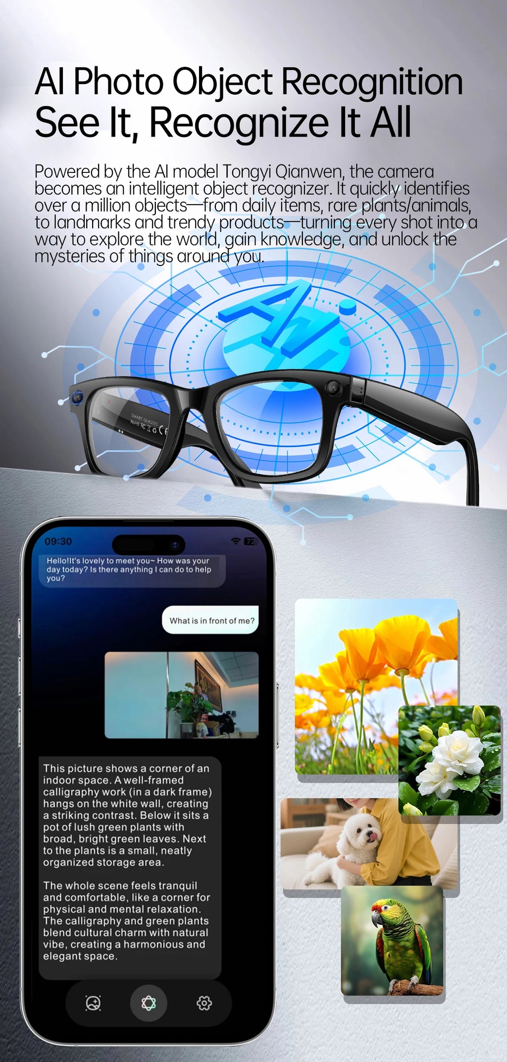 Gafas inteligentes con IA, 5 millones de píxeles, grabación de vídeo, reconocimiento fotográfico, traducción de respuestas, batería de 290 mAh, resistencia al agua IP66, Bluetooth.
