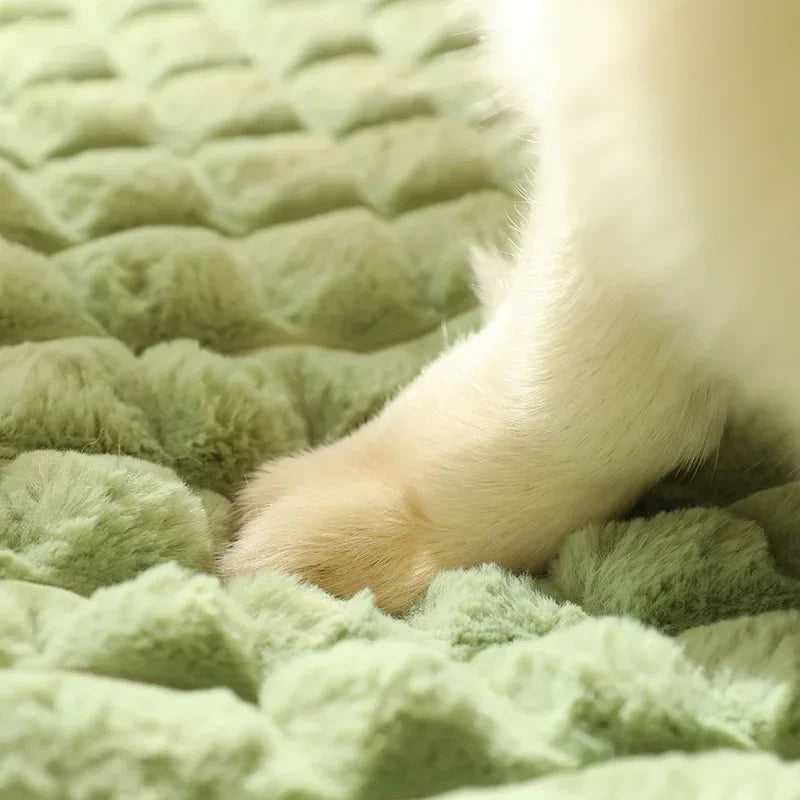 Camas relajantes para perros pequeños y grandes. Colchoneta de lujo para perros con almohada y funda extraíble. Colchoneta de espuma para mascotas. Camas suaves para dormir.