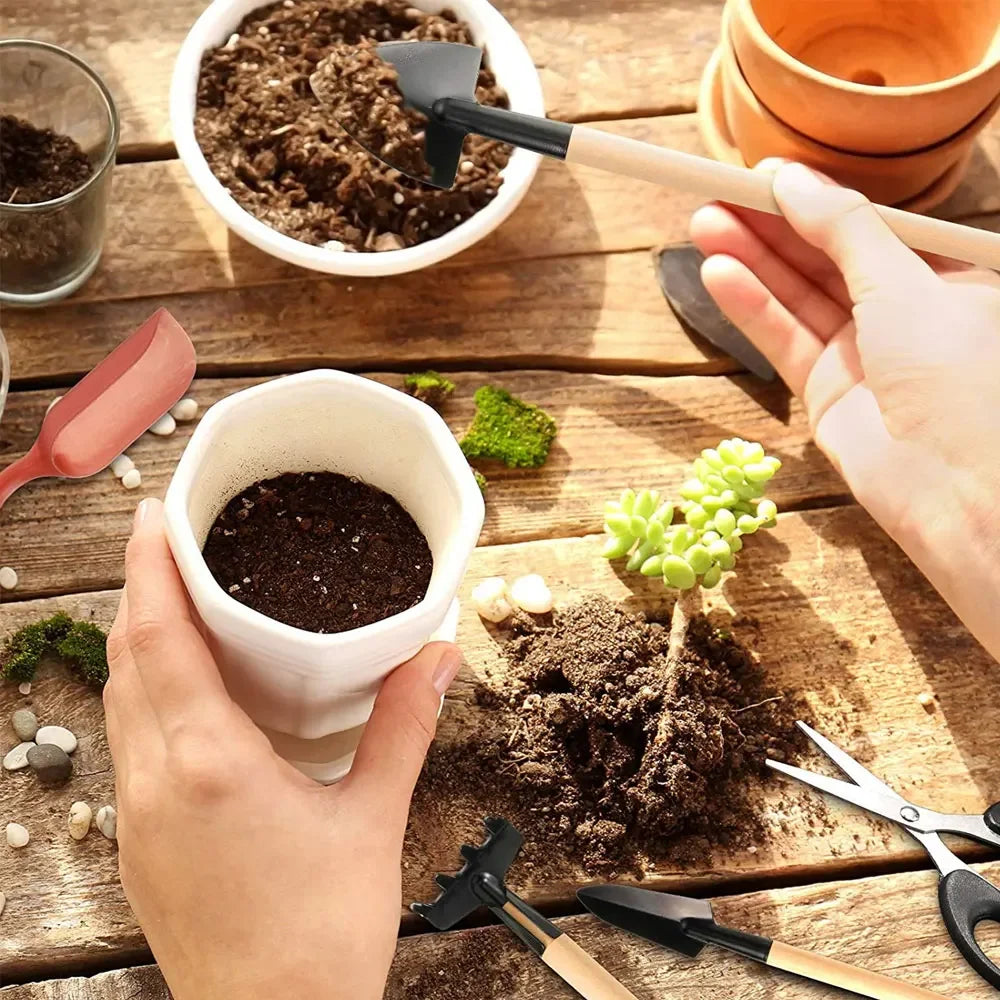 Kit de herramientas para mini macetas de 13/16 piezas para plantas suculentas de jardín con tapete para trasplante de bonsáis de interior y plántulas en miniatura