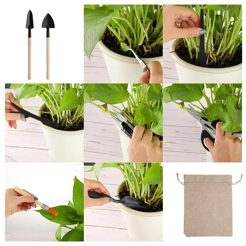 Kit de herramientas para mini macetas de 13/16 piezas para plantas suculentas de jardín con tapete para trasplante de bonsáis de interior y plántulas en miniatura