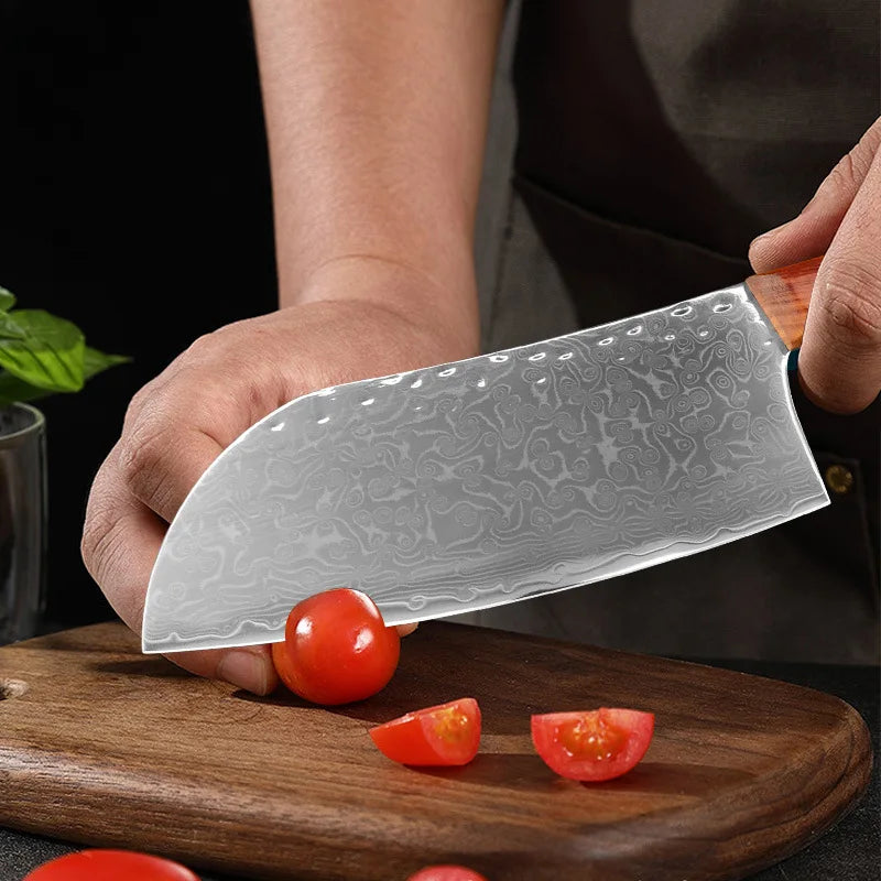 Cuchillo de cocina japonés de acero de Damasco de 67 capas para cortar carne, cuchillo Santoku, cuchillo de sushi y herramientas de cocina profesionales.