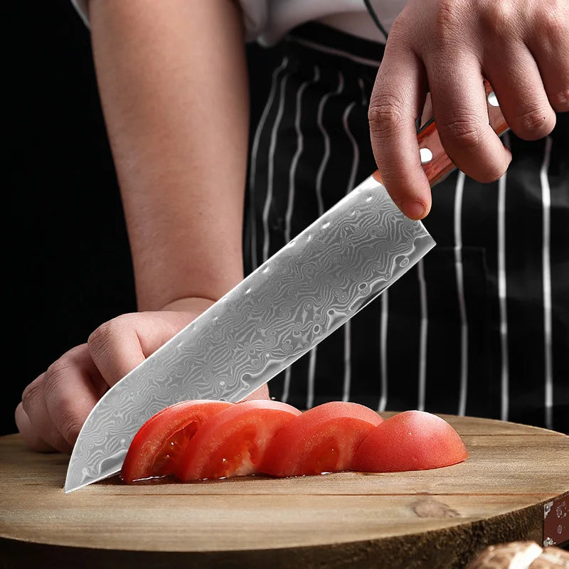 Cuchillo de cocina japonés de acero de Damasco de 67 capas para cortar carne, cuchillo Santoku, cuchillo de sushi y herramientas de cocina profesionales.
