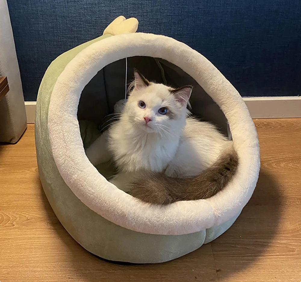 Cama para gatos Deep Sleep con diseño de dibujos animados, cama plegable, extraíble y lavable para mascotas, ideal para perros pequeños. Cama tipo cueva para gatos.