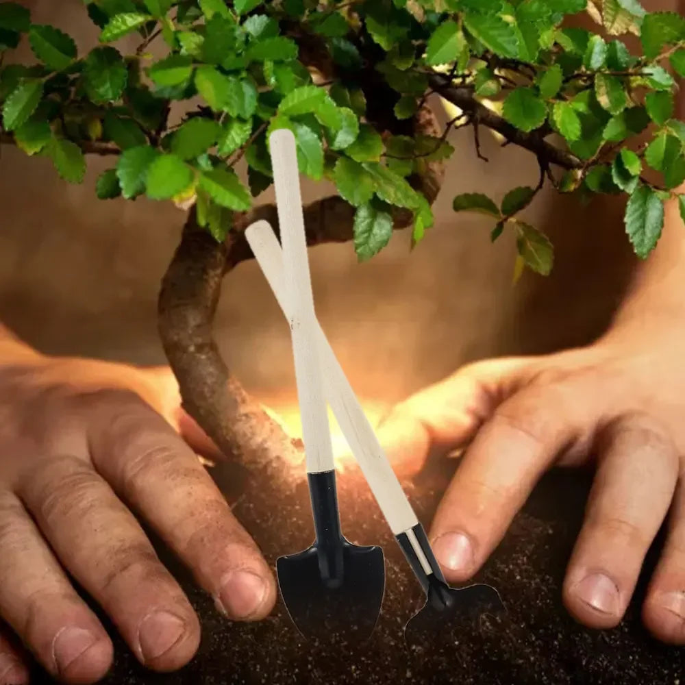 Kit de herramientas para mini macetas de 13/16 piezas para plantas suculentas de jardín con tapete para trasplante de bonsáis de interior y plántulas en miniatura