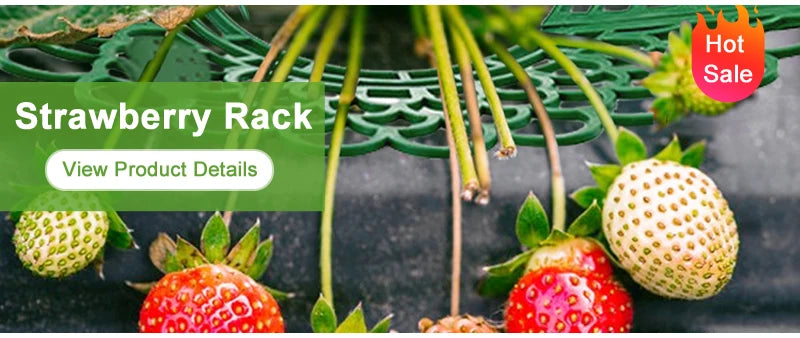Azada de jardín, suministros agrícolas, herramientas para malezas, utensilios de jardinería, herbicida manual, profesor de malezas, agricultura, accesorios agrícolas.